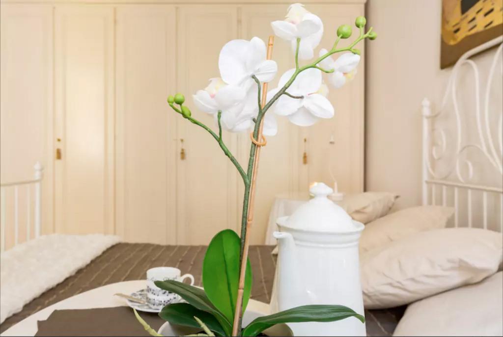Via Laurina 40 Apartment Rom Eksteriør billede